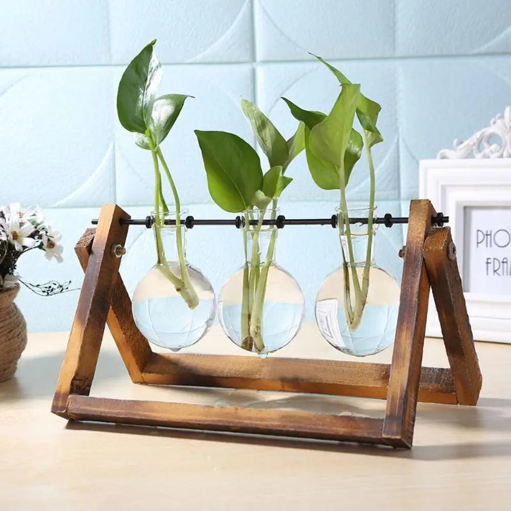 Glass Terrarium with Wooden Stand - Hydroponic Plant Vase Set