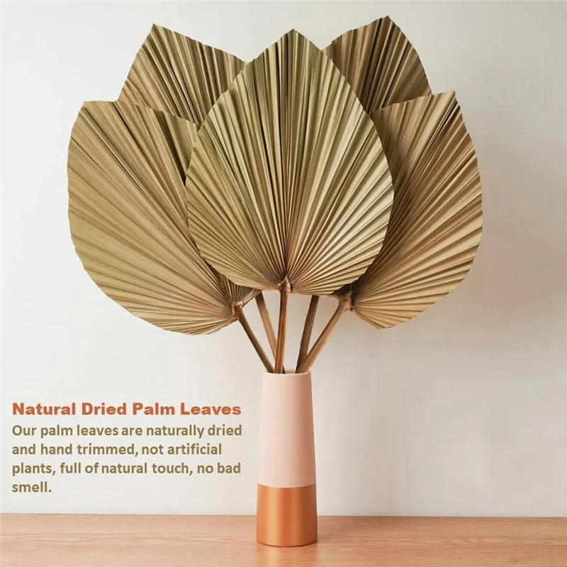 Natural Dried Palm Leaves - 4-Piece Set for Boho Home & Wedding Decor