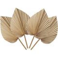 Natural Dried Palm Leaves - 4-Piece Set for Boho Home & Wedding Decor
