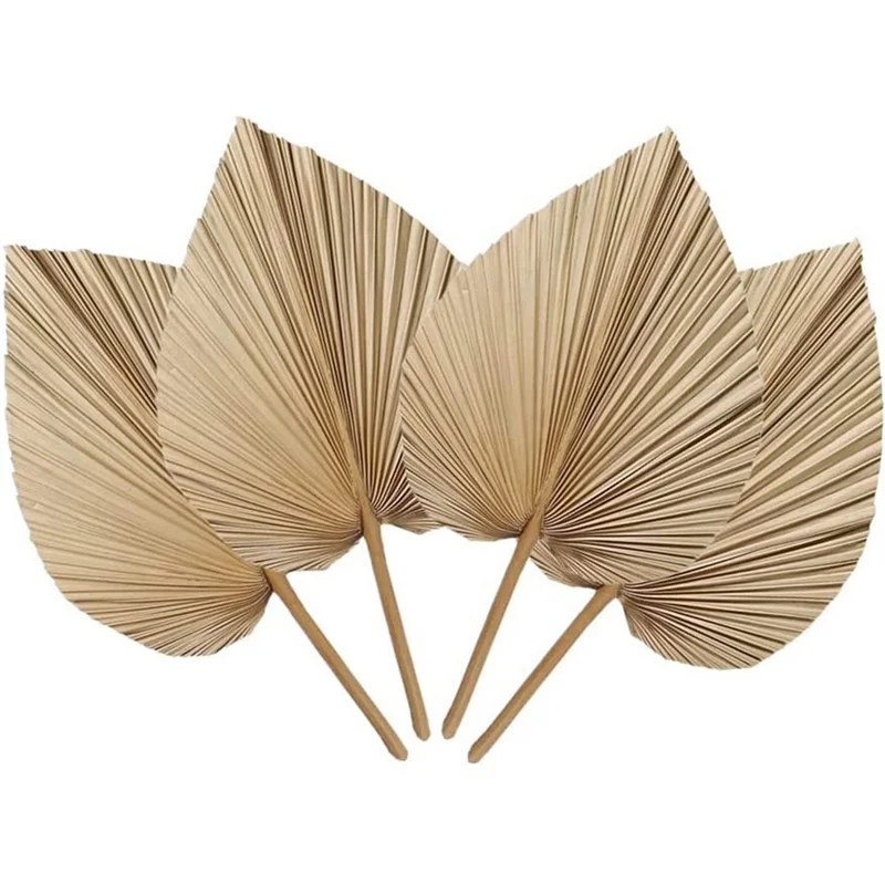 Natural Dried Palm Leaves - 4-Piece Set for Boho Home & Wedding Decor