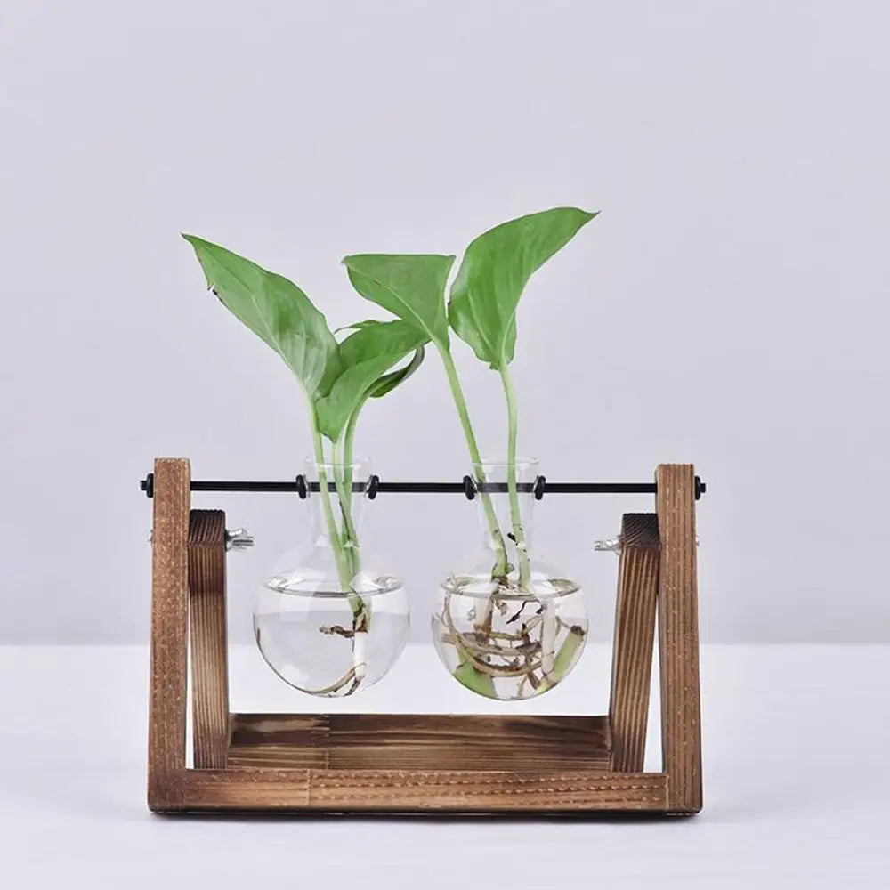 Glass Terrarium with Wooden Stand - Hydroponic Plant Vase Set