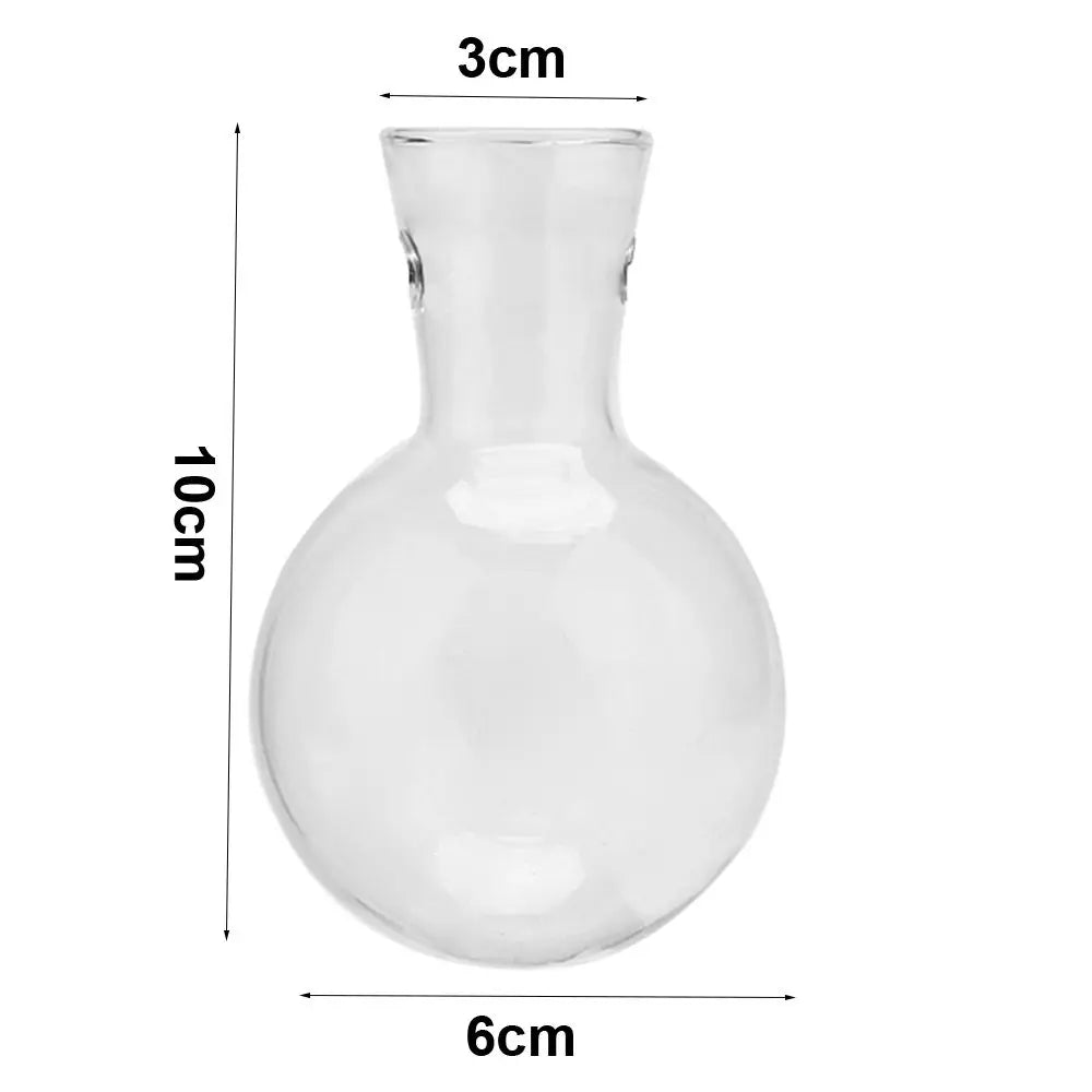 Glass Terrarium with Wooden Stand - Hydroponic Plant Vase Set