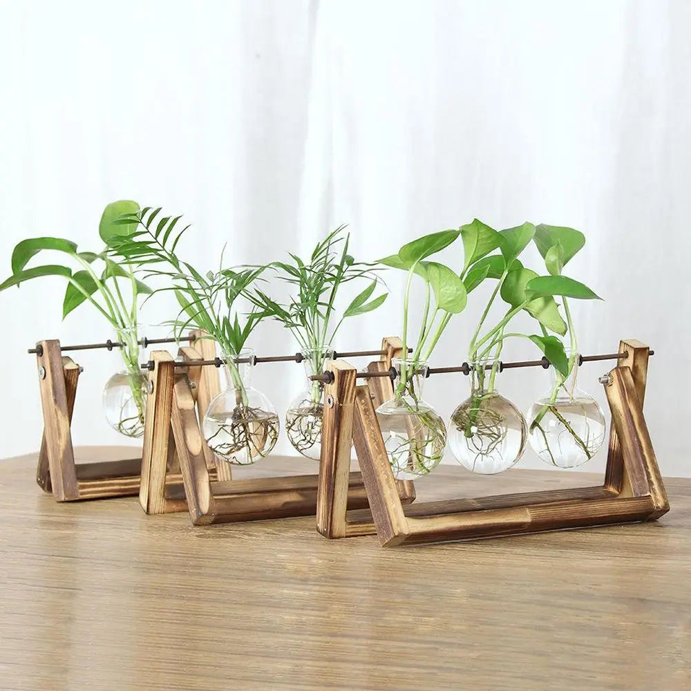 Glass Terrarium with Wooden Stand - Hydroponic Plant Vase Set