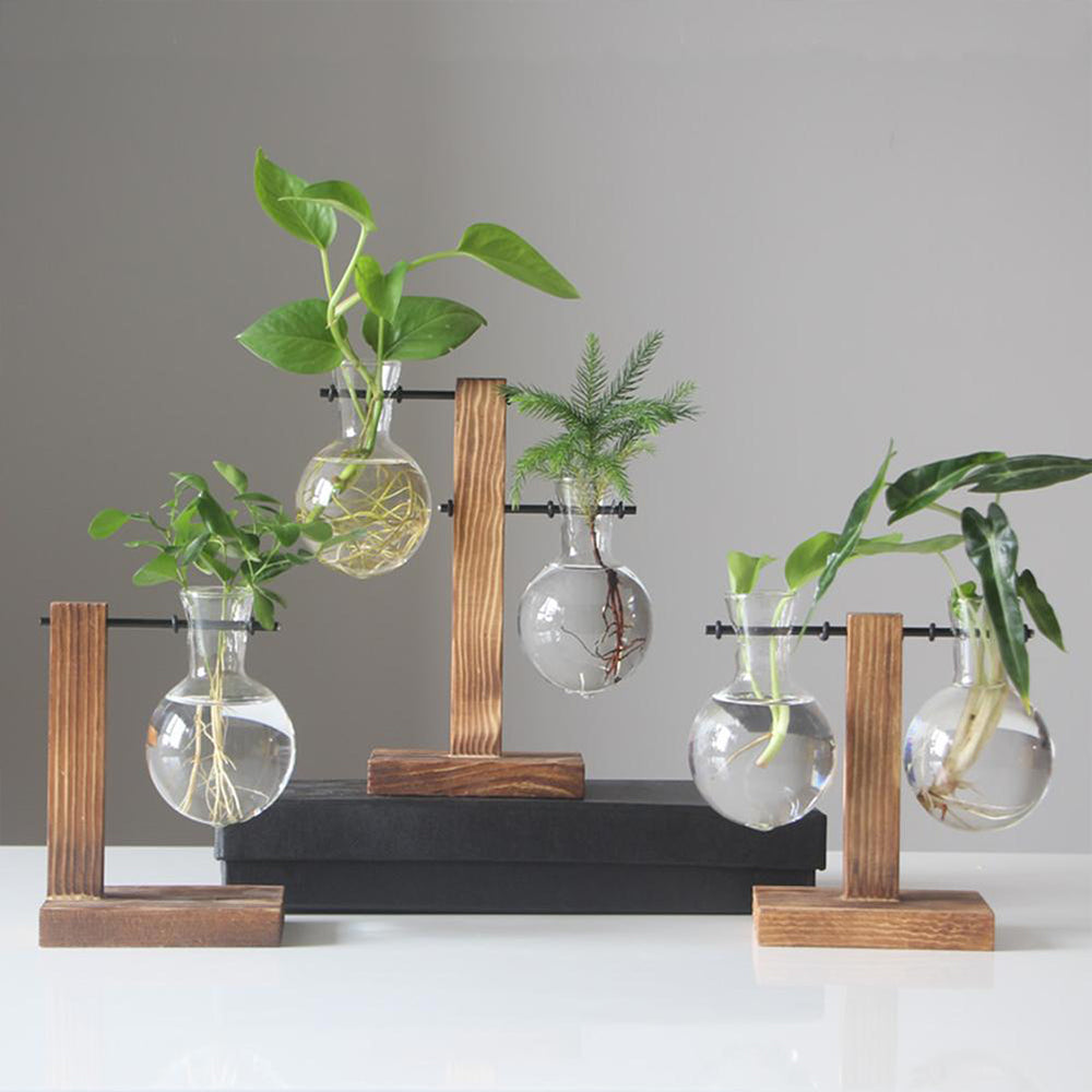 Vintage Glass Bulb Terrarium with Wooden Stand - Hydroponic Planter