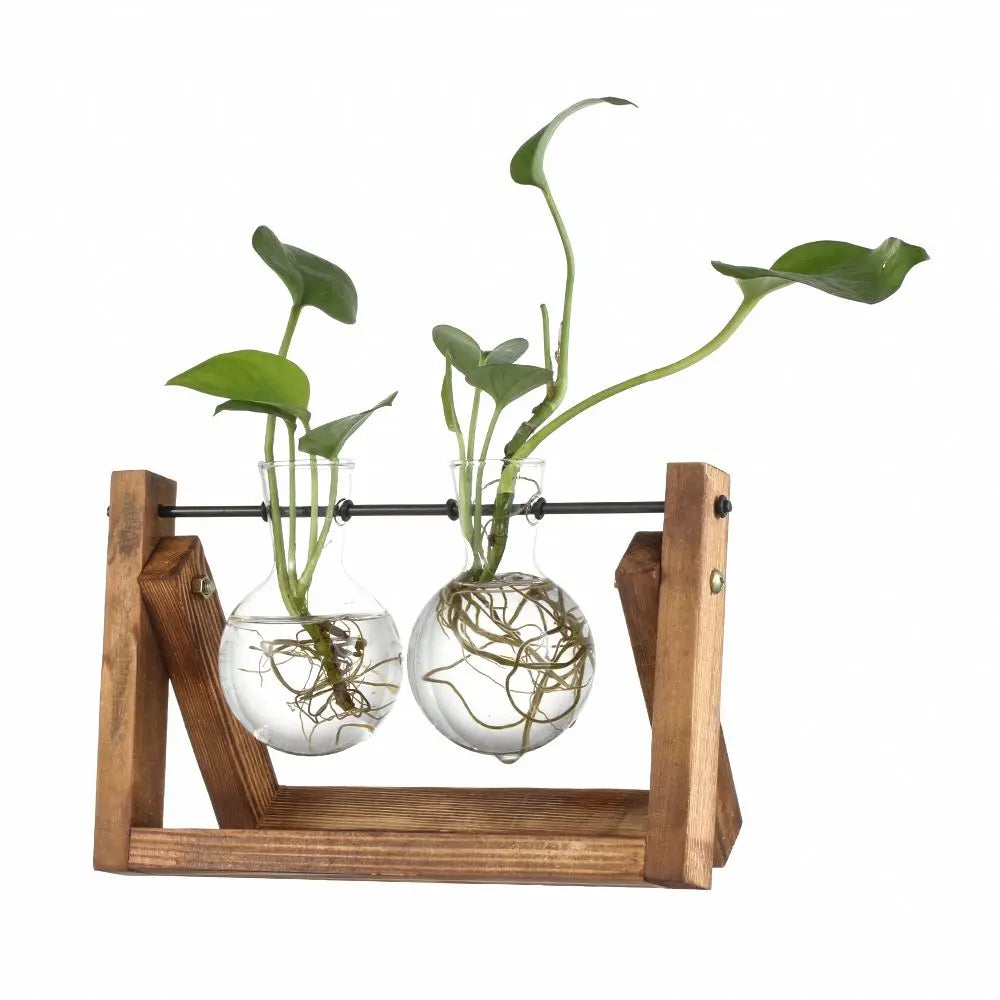 Glass Terrarium with Wooden Stand - Hydroponic Plant Vase Set