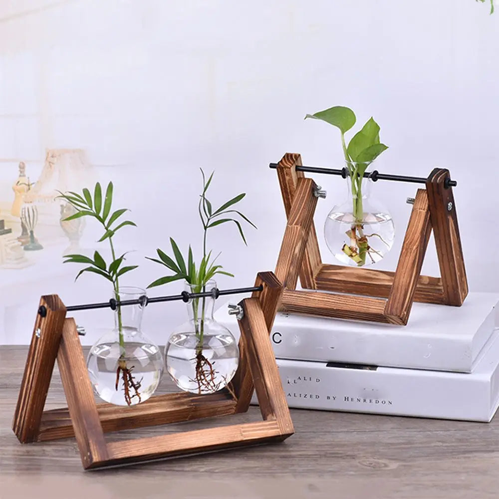 Glass Terrarium with Wooden Stand - Hydroponic Plant Vase Set