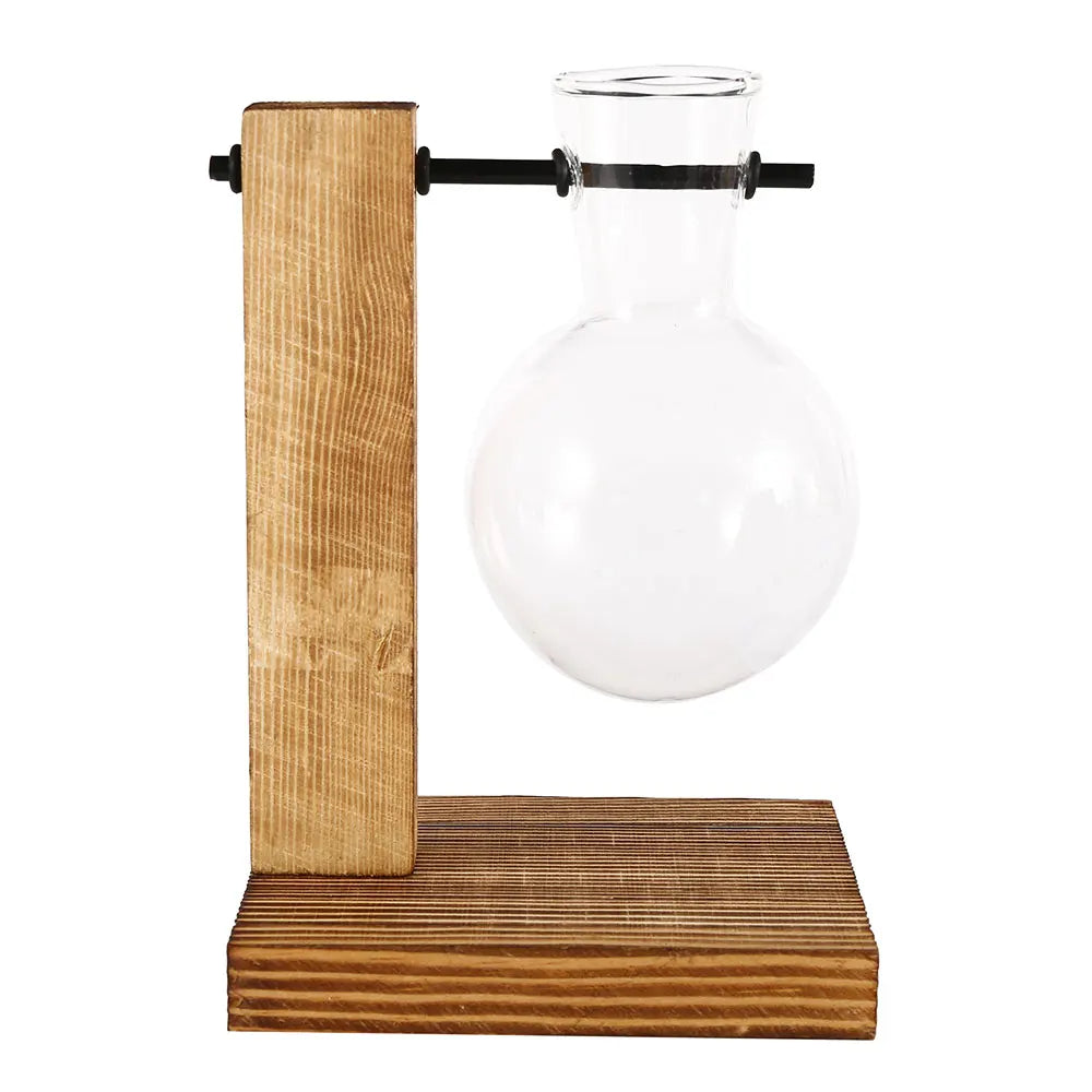 Vintage Glass Bulb Terrarium with Wooden Stand - Hydroponic Planter