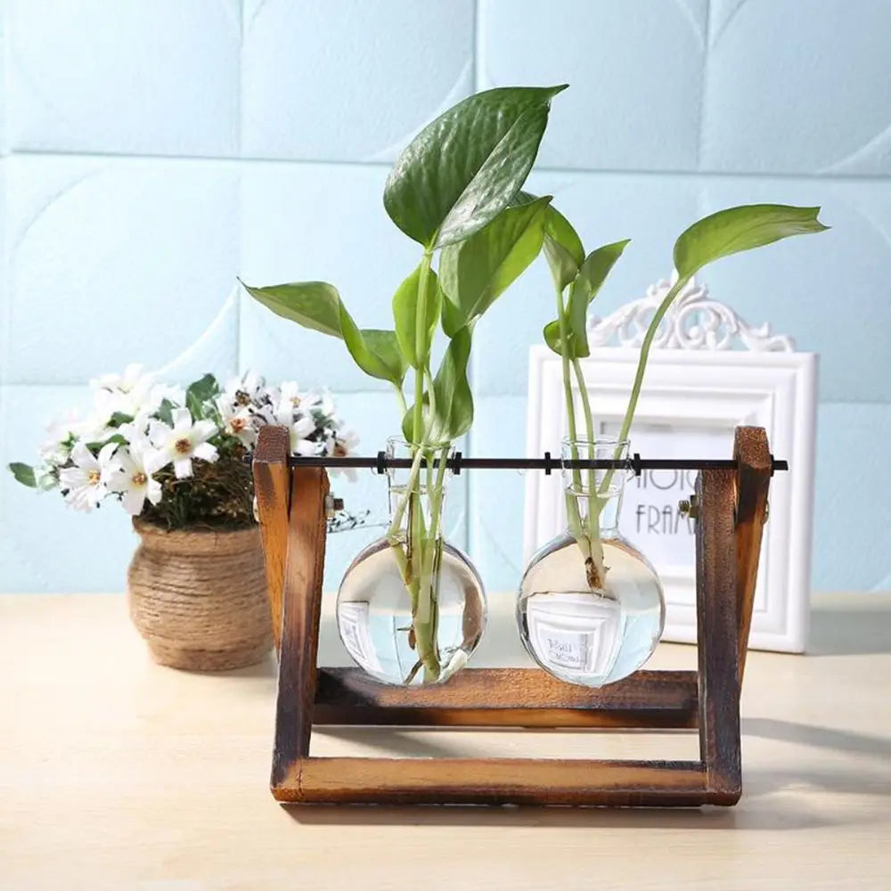 Glass Terrarium with Wooden Stand - Hydroponic Plant Vase Set
