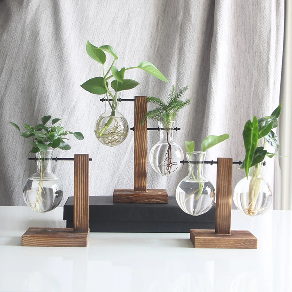 Vintage Glass Bulb Terrarium with Wooden Stand - Hydroponic Planter