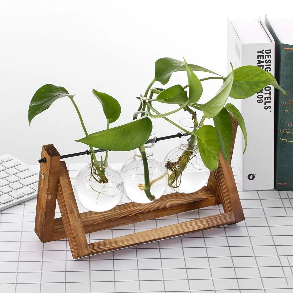 Glass Terrarium with Wooden Stand - Hydroponic Plant Vase Set