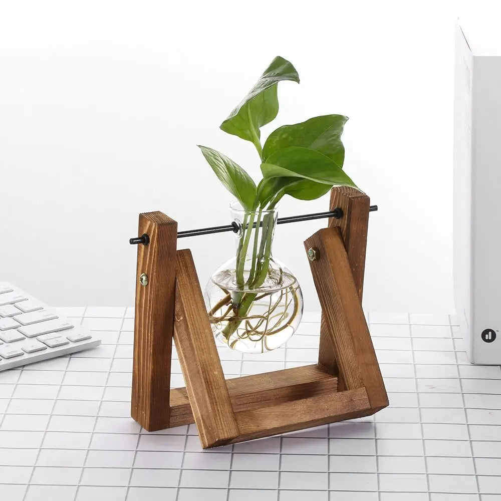 Glass Terrarium with Wooden Stand - Hydroponic Plant Vase Set