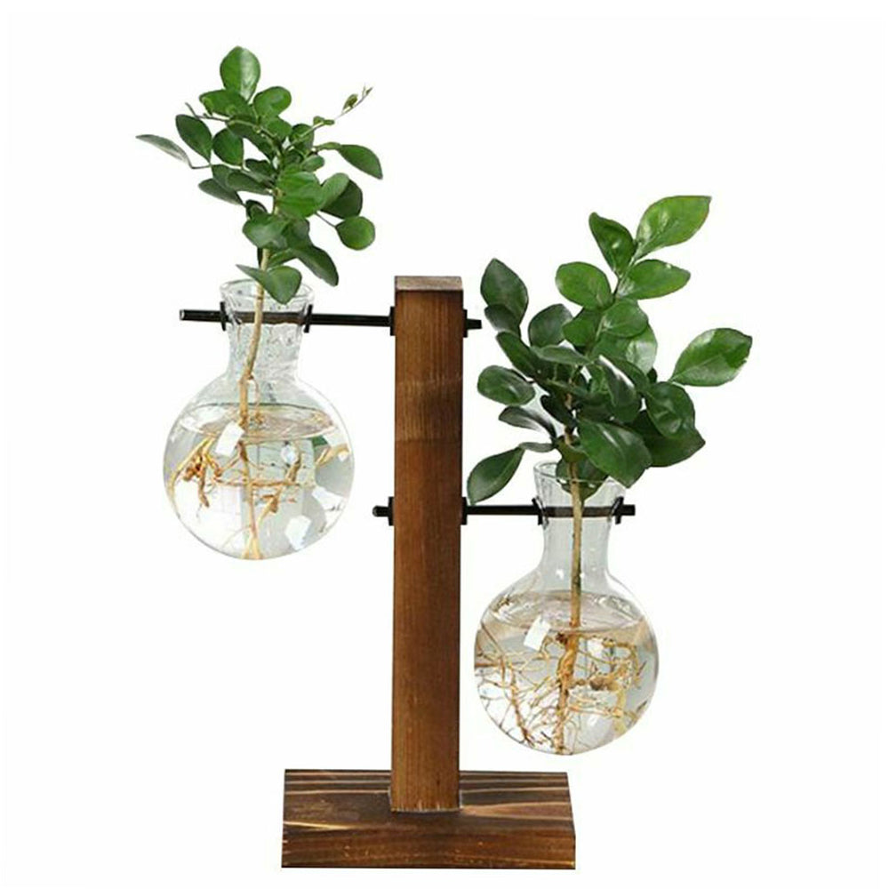 Vintage Glass Bulb Terrarium with Wooden Stand - Hydroponic Planter