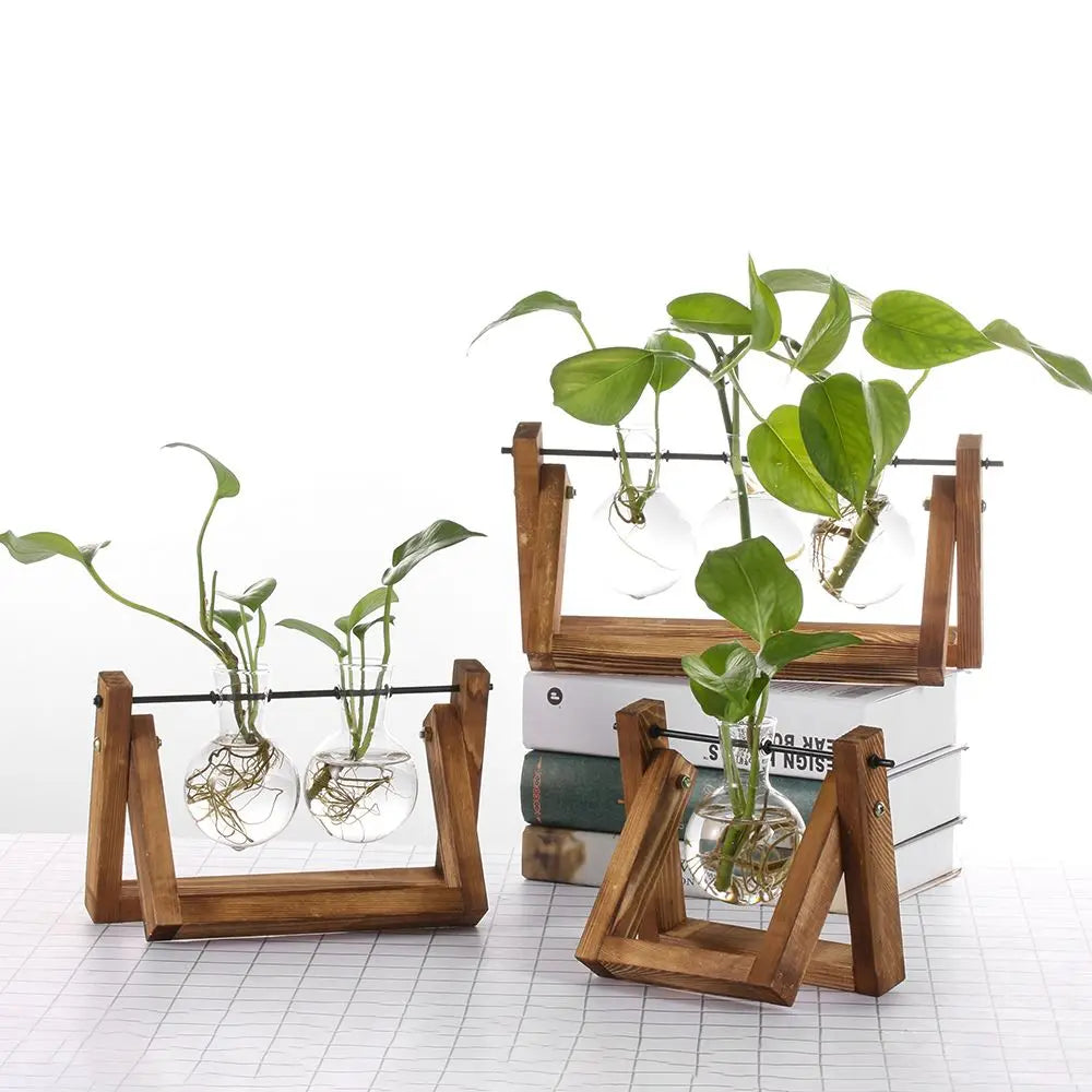 Glass Terrarium with Wooden Stand - Hydroponic Plant Vase Set