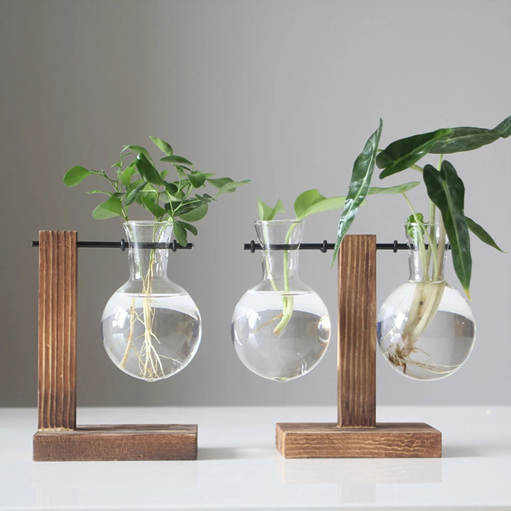 Vintage Glass Bulb Terrarium with Wooden Stand - Hydroponic Planter