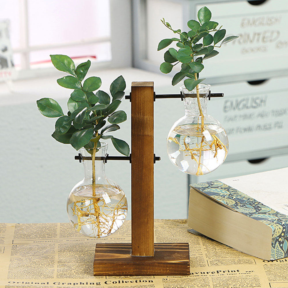 Vintage Glass Bulb Terrarium with Wooden Stand - Hydroponic Planter