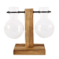 Vintage Glass Bulb Terrarium with Wooden Stand - Hydroponic Planter