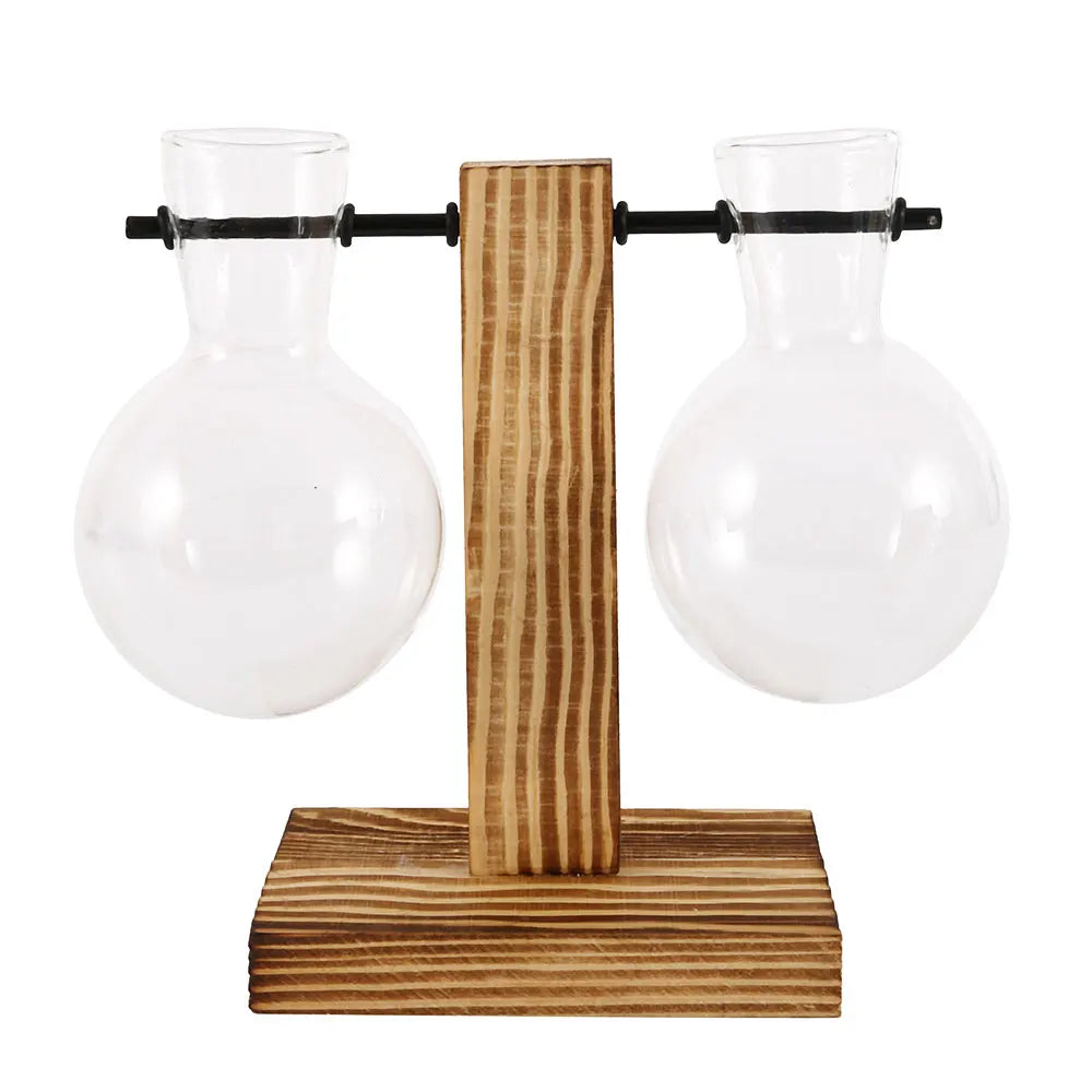 Vintage Glass Bulb Terrarium with Wooden Stand - Hydroponic Planter