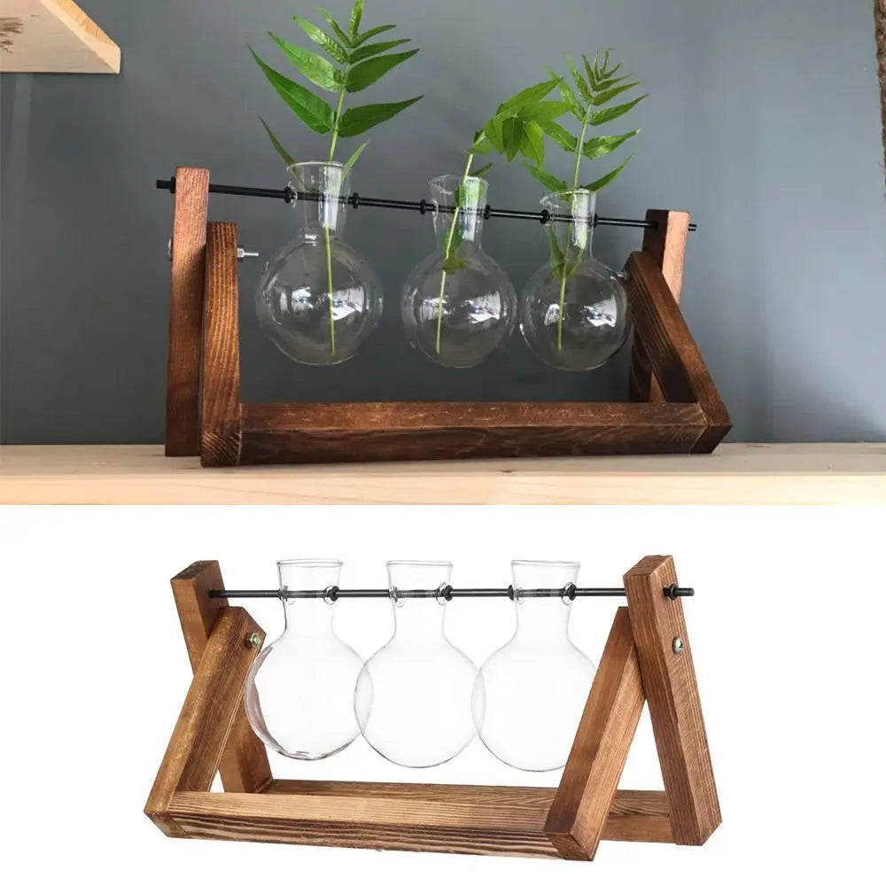 Glass Terrarium with Wooden Stand - Hydroponic Plant Vase Set