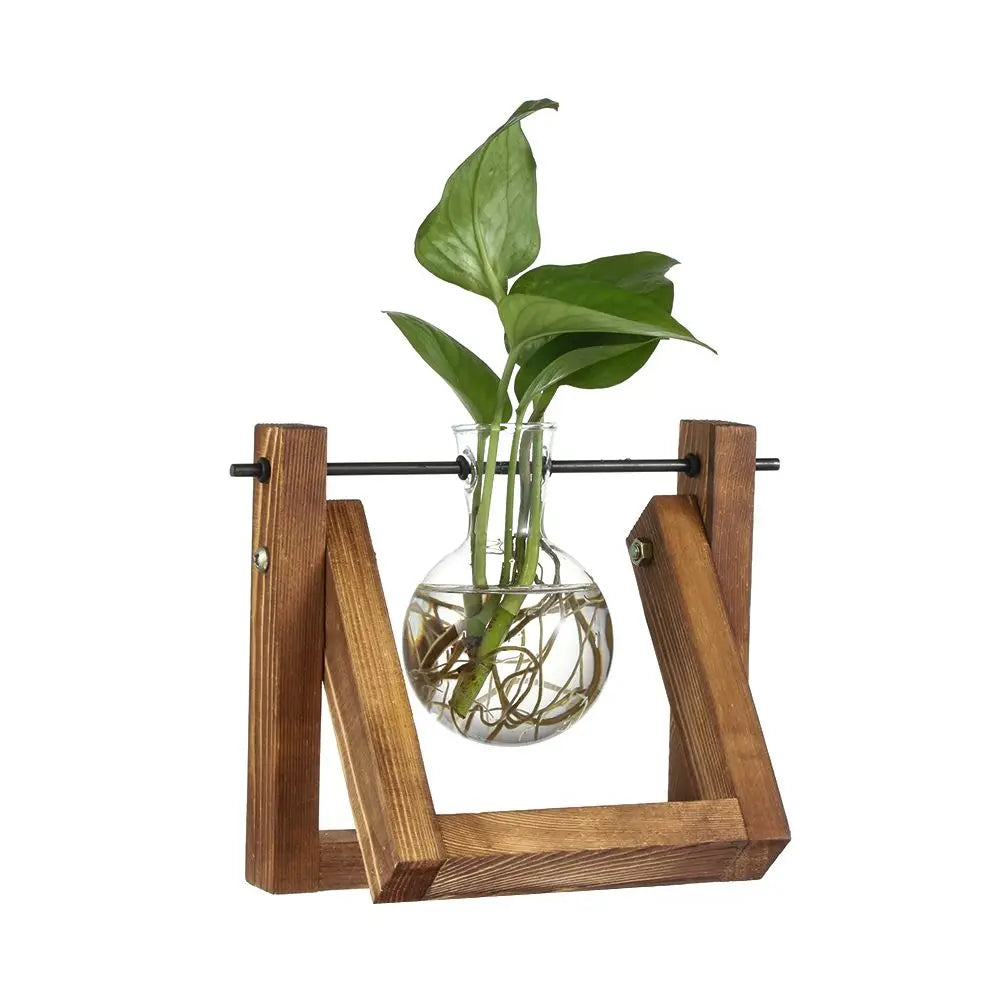 Glass Terrarium with Wooden Stand - Hydroponic Plant Vase Set
