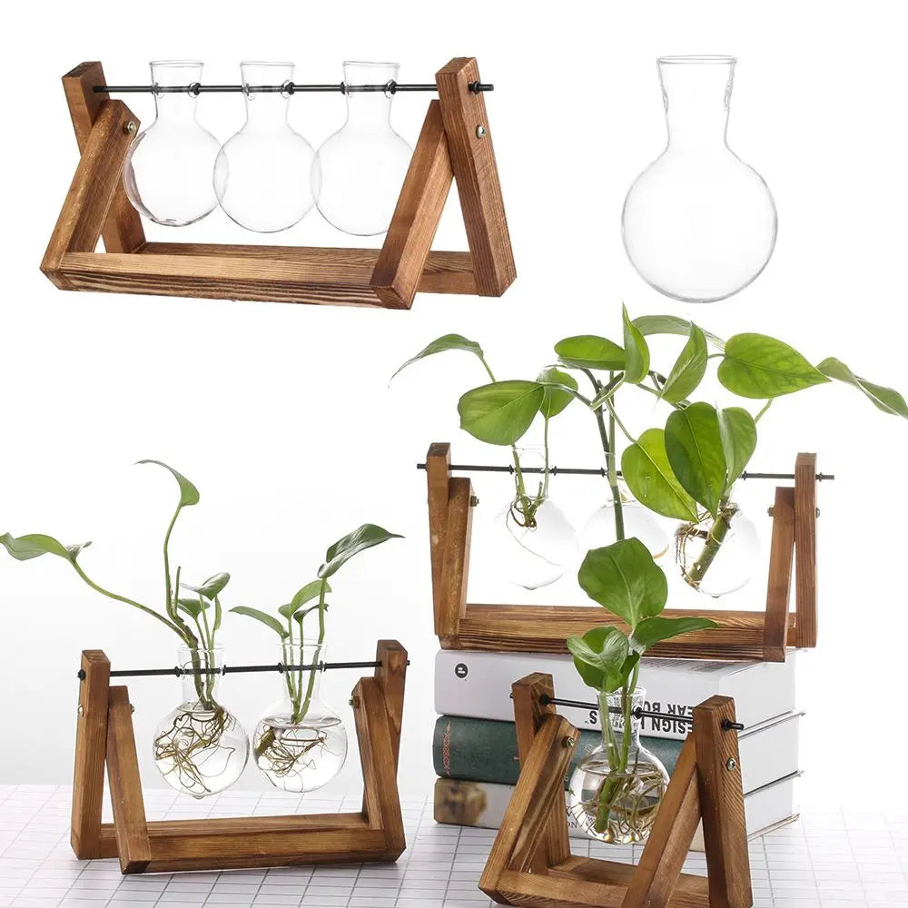 Glass Terrarium with Wooden Stand - Hydroponic Plant Vase Set