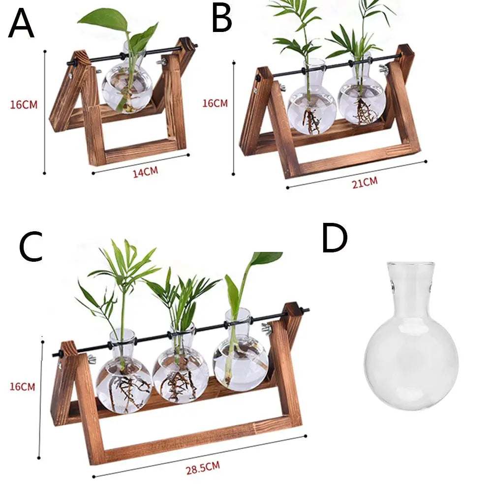 Glass Terrarium with Wooden Stand - Hydroponic Plant Vase Set