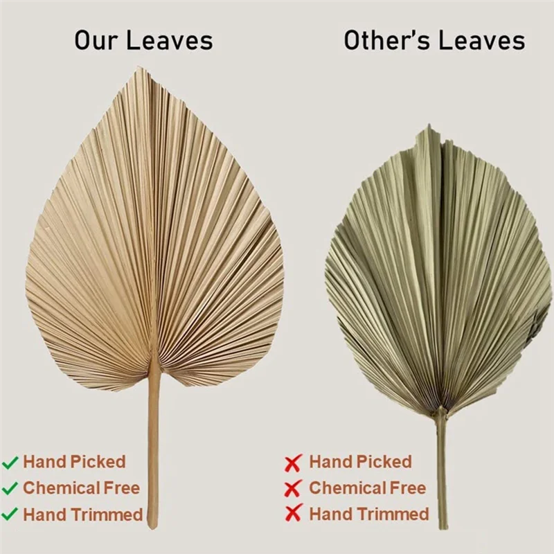 Natural Dried Palm Leaves - 4-Piece Set for Boho Home & Wedding Decor