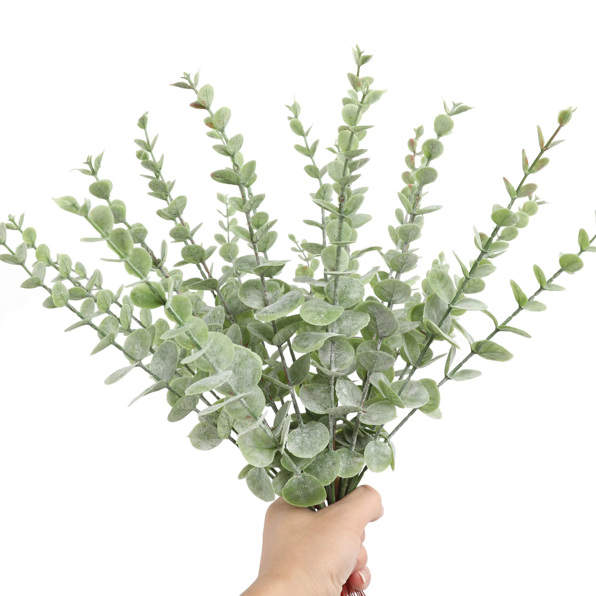 Artificial Eucalyptus Stems - 12 Pack Silver Dollar Greenery for Weddings & Home