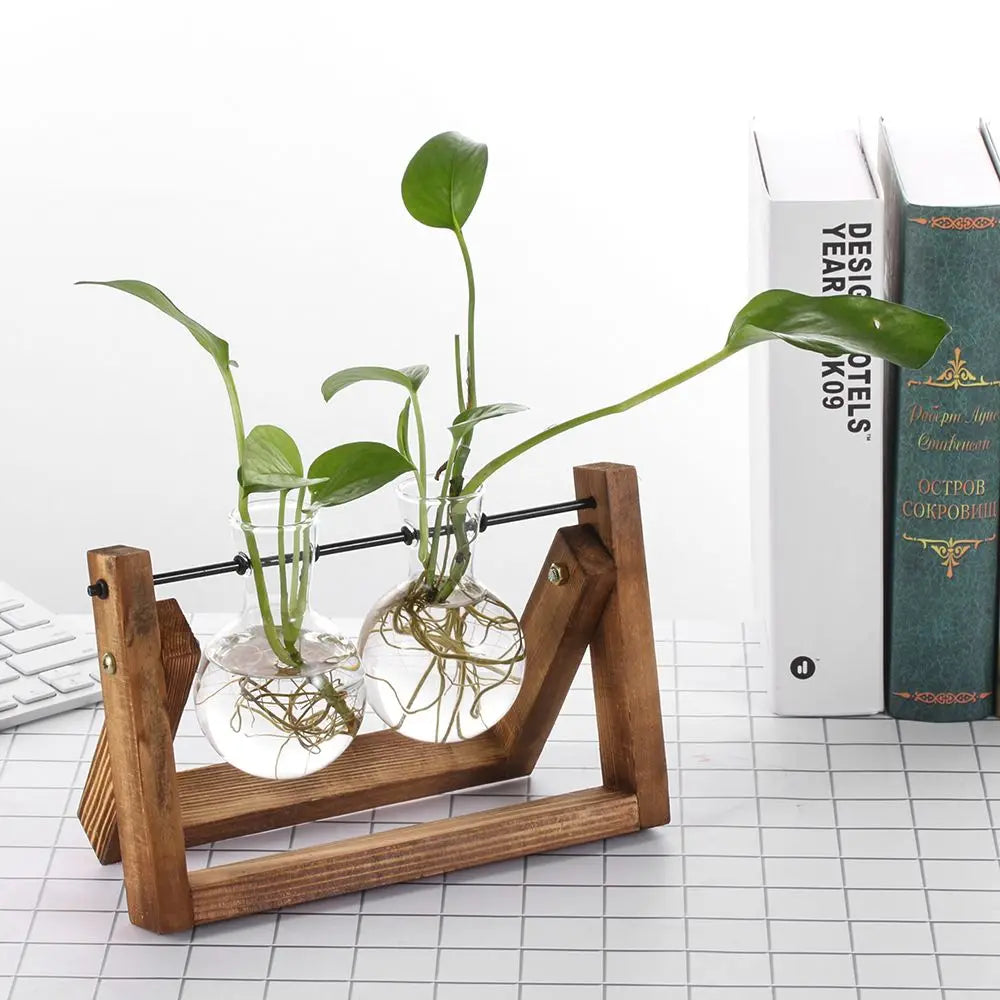 Glass Terrarium with Wooden Stand - Hydroponic Plant Vase Set