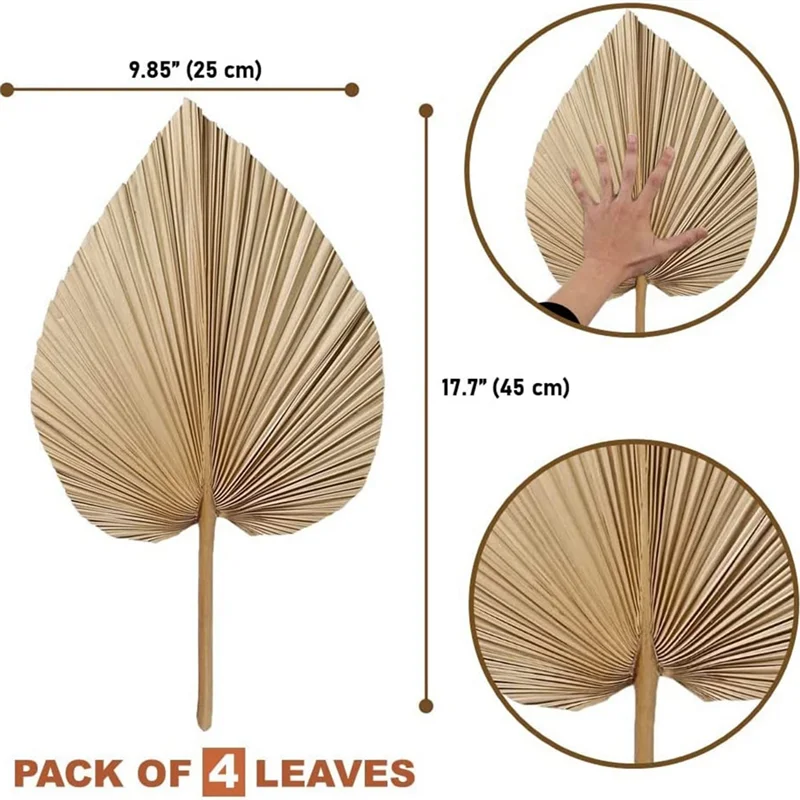 Natural Dried Palm Leaves - 4-Piece Set for Boho Home & Wedding Decor