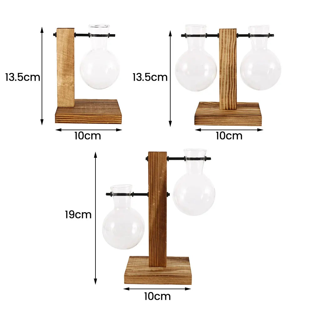 Vintage Glass Bulb Terrarium with Wooden Stand - Hydroponic Planter