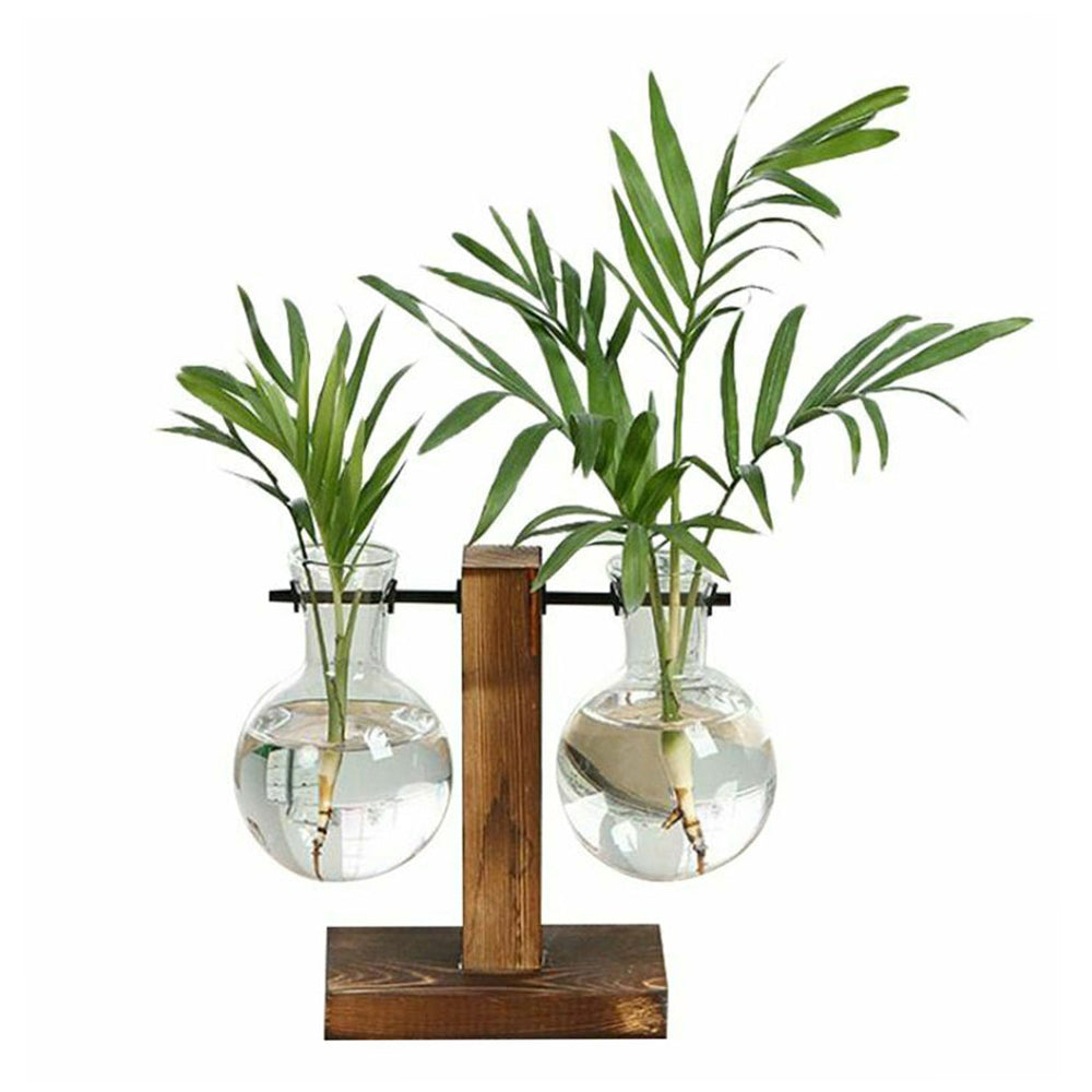 Vintage Glass Bulb Terrarium with Wooden Stand - Hydroponic Planter