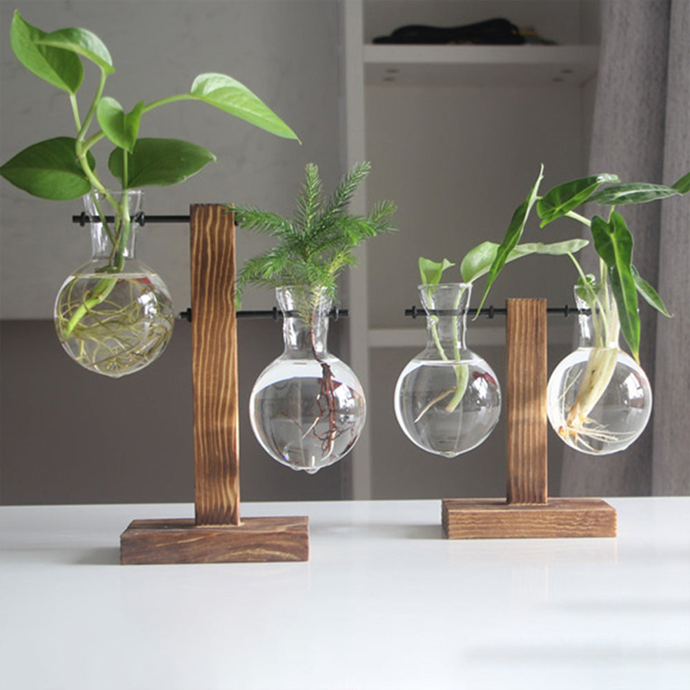 Vintage Glass Bulb Terrarium with Wooden Stand - Hydroponic Planter