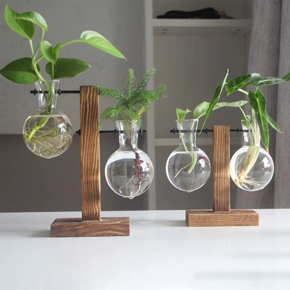 Vintage Glass Bulb Terrarium with Wooden Stand - Hydroponic Planter