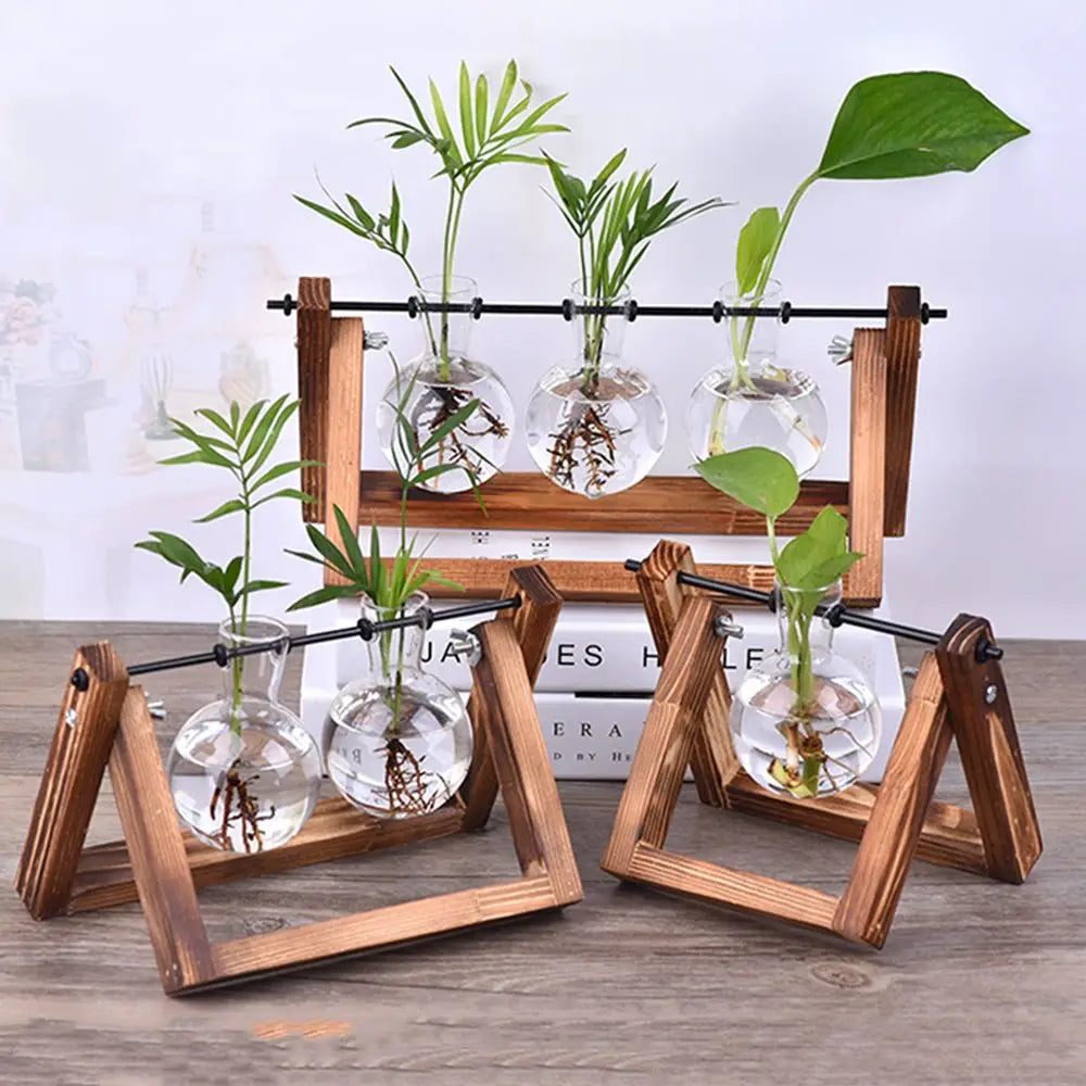 Glass Terrarium with Wooden Stand - Hydroponic Plant Vase Set